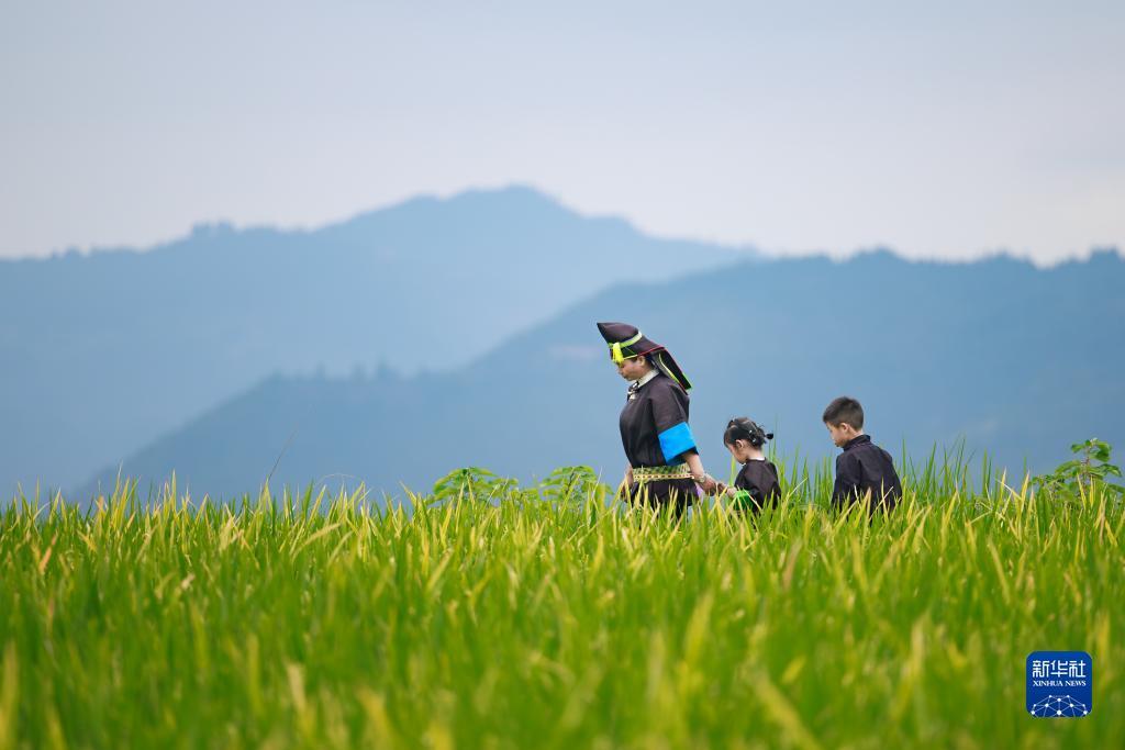 奔驰游戏网